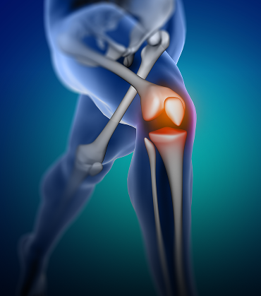 Orthopaedic, Trauma & Spine (OTS)