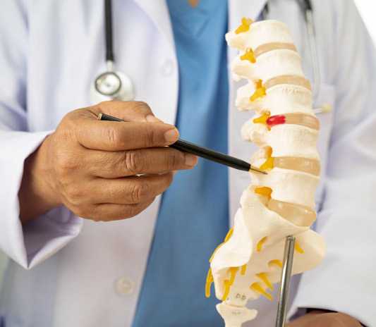 Spine